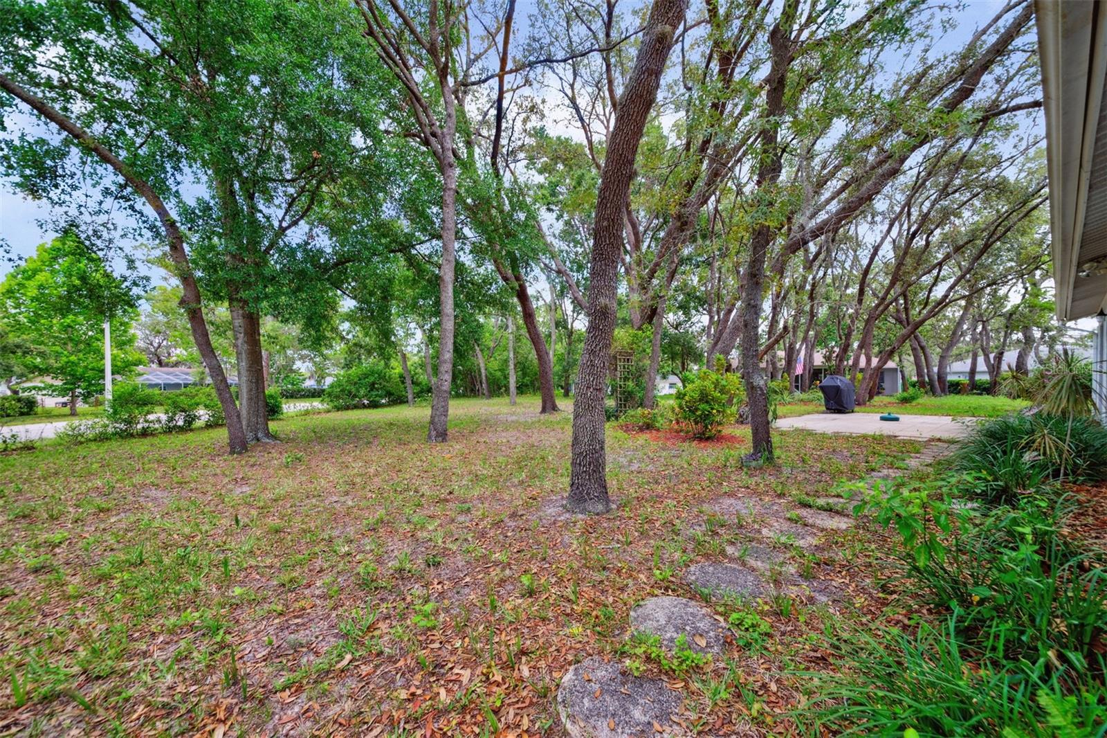 Back, towards Timber Oaks Blvd