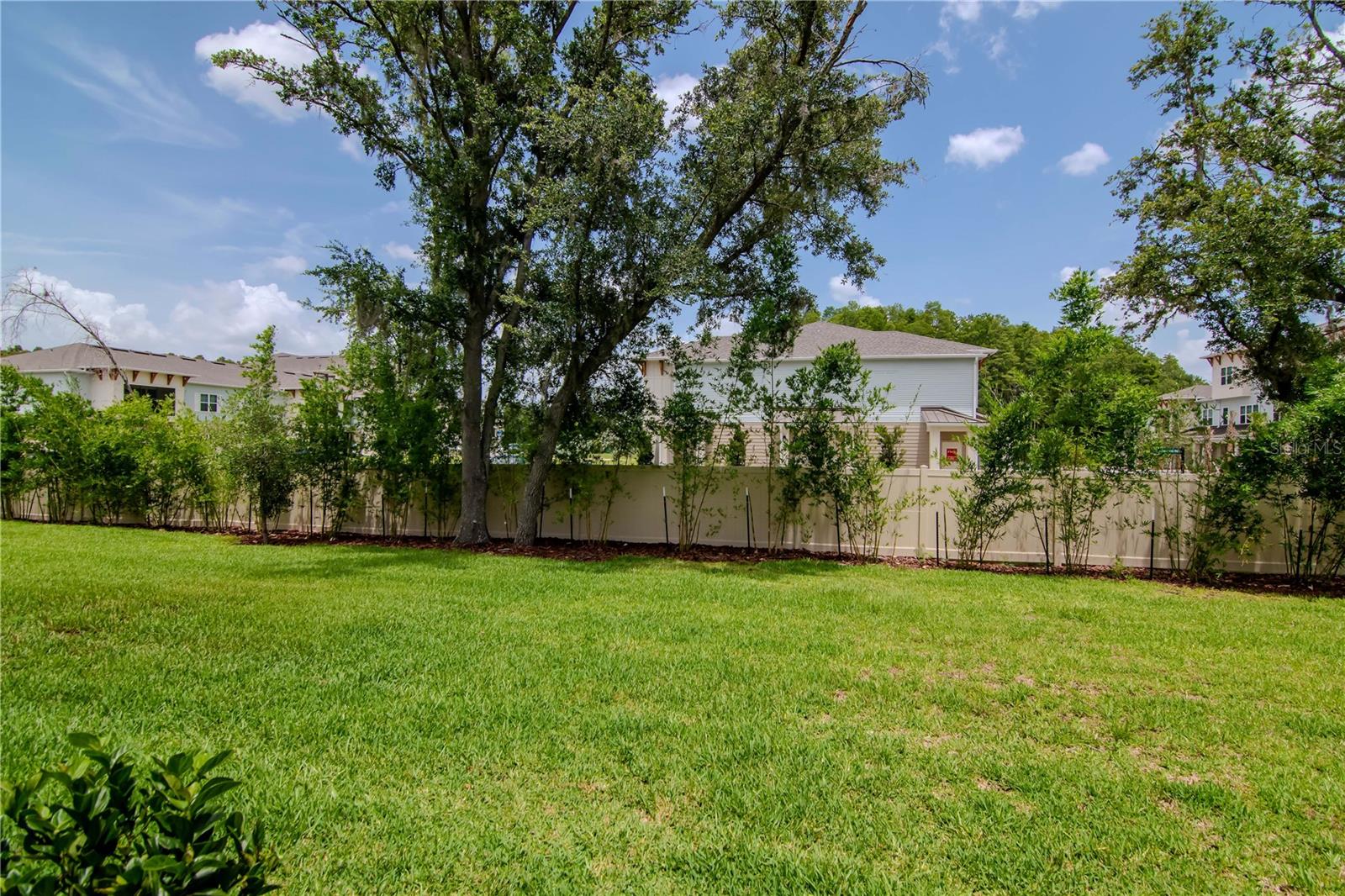 Green Space - From the Screened In Patio with Pavers