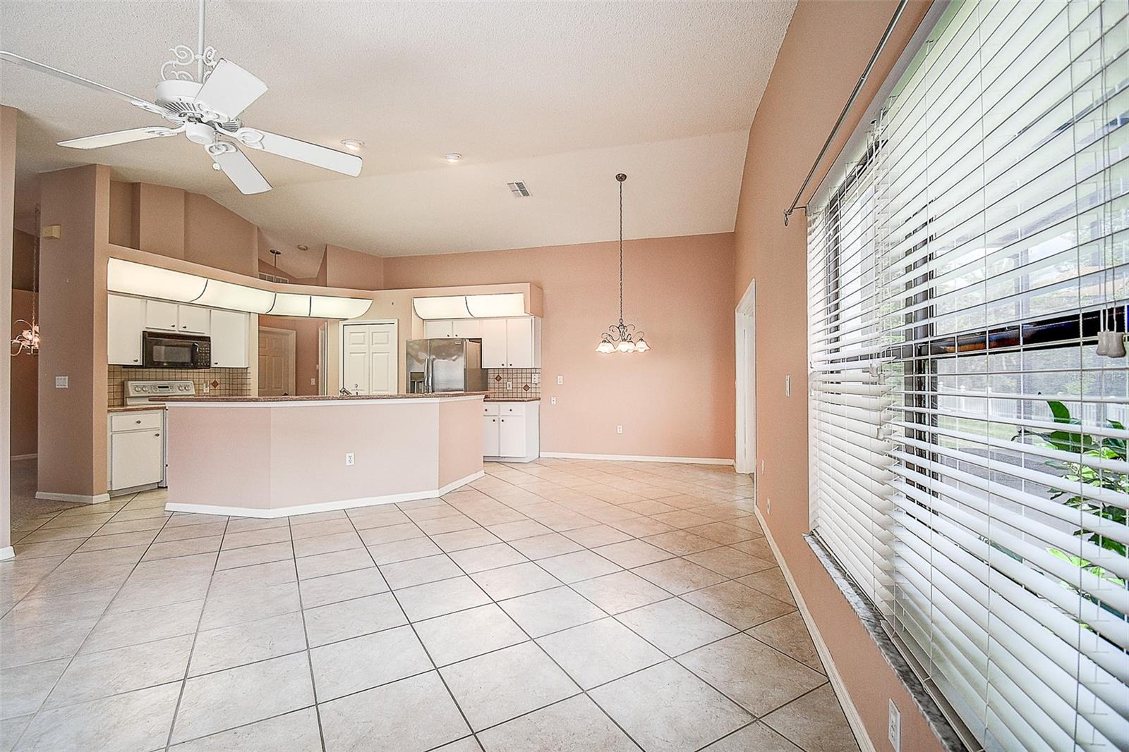 Family Room and Kitchen