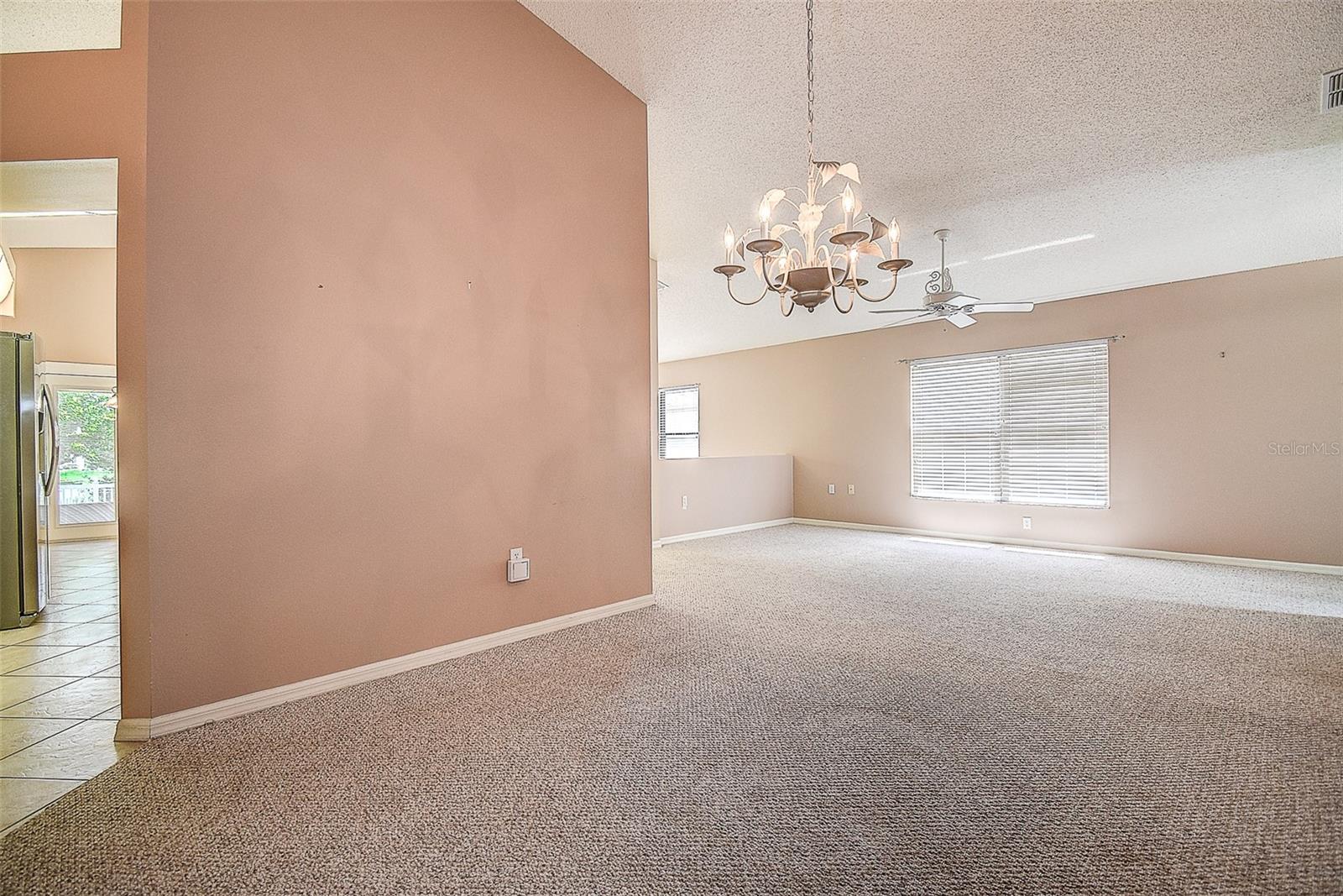 Dining/Living Rooms