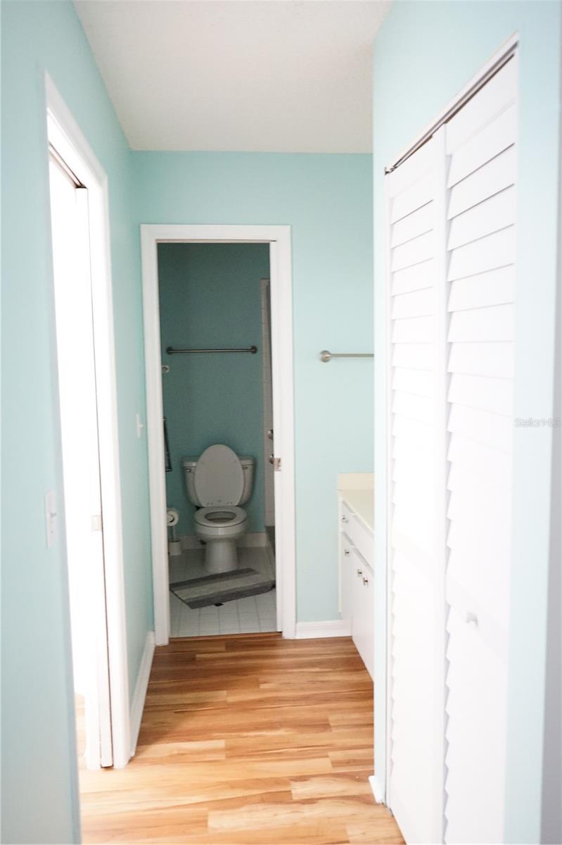 primary hallway with closets and bathroom