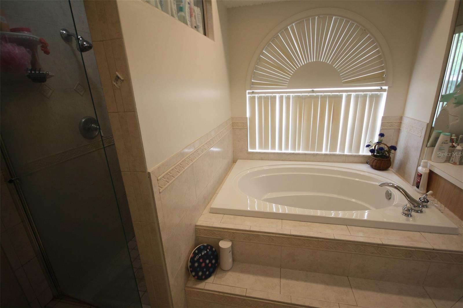 Primary Bathroom with soaking tub and seperate shower stall.