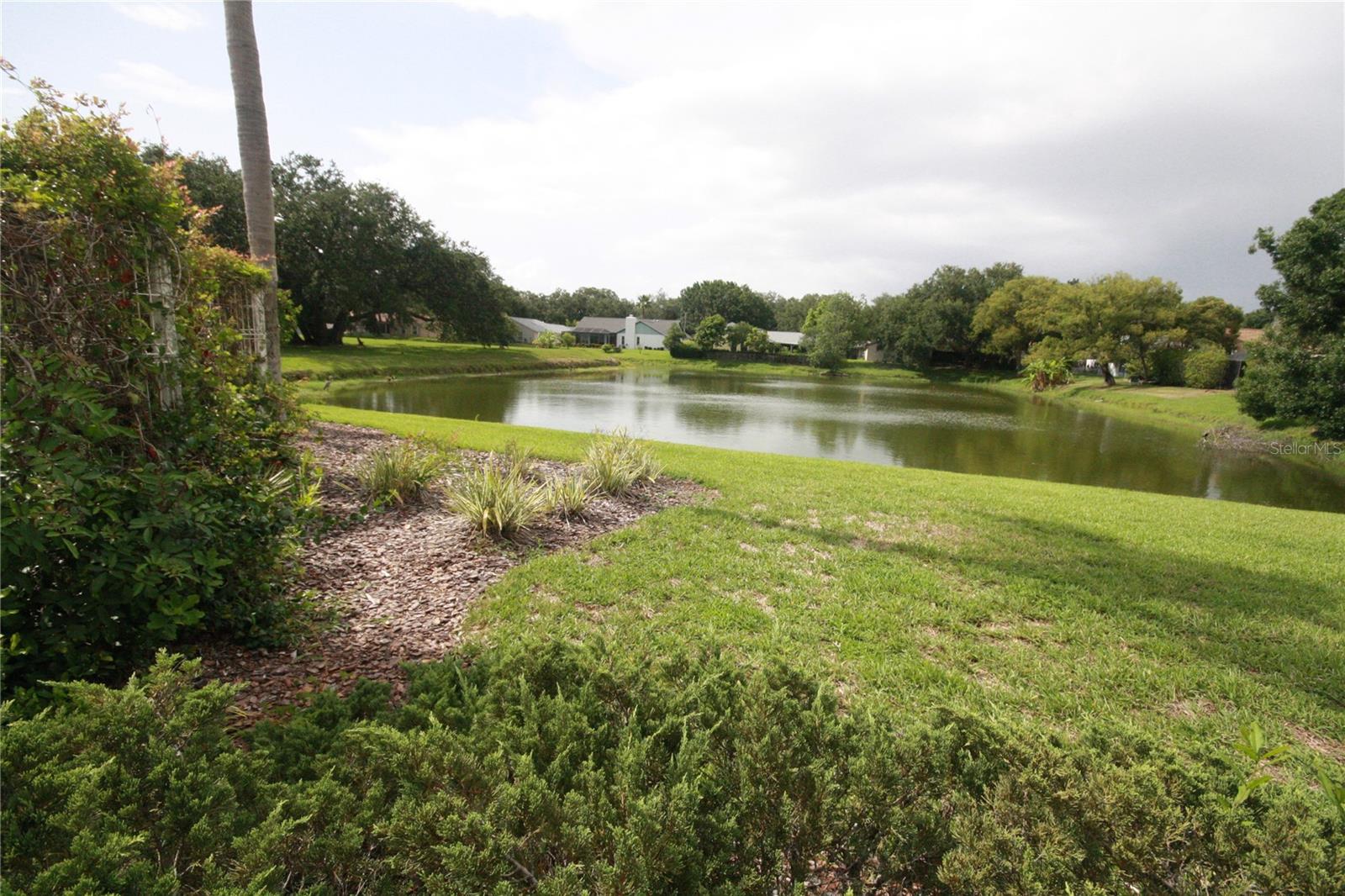 Another tranquil pond .