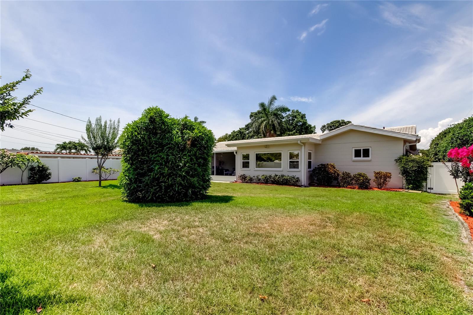 Spacious back yard
