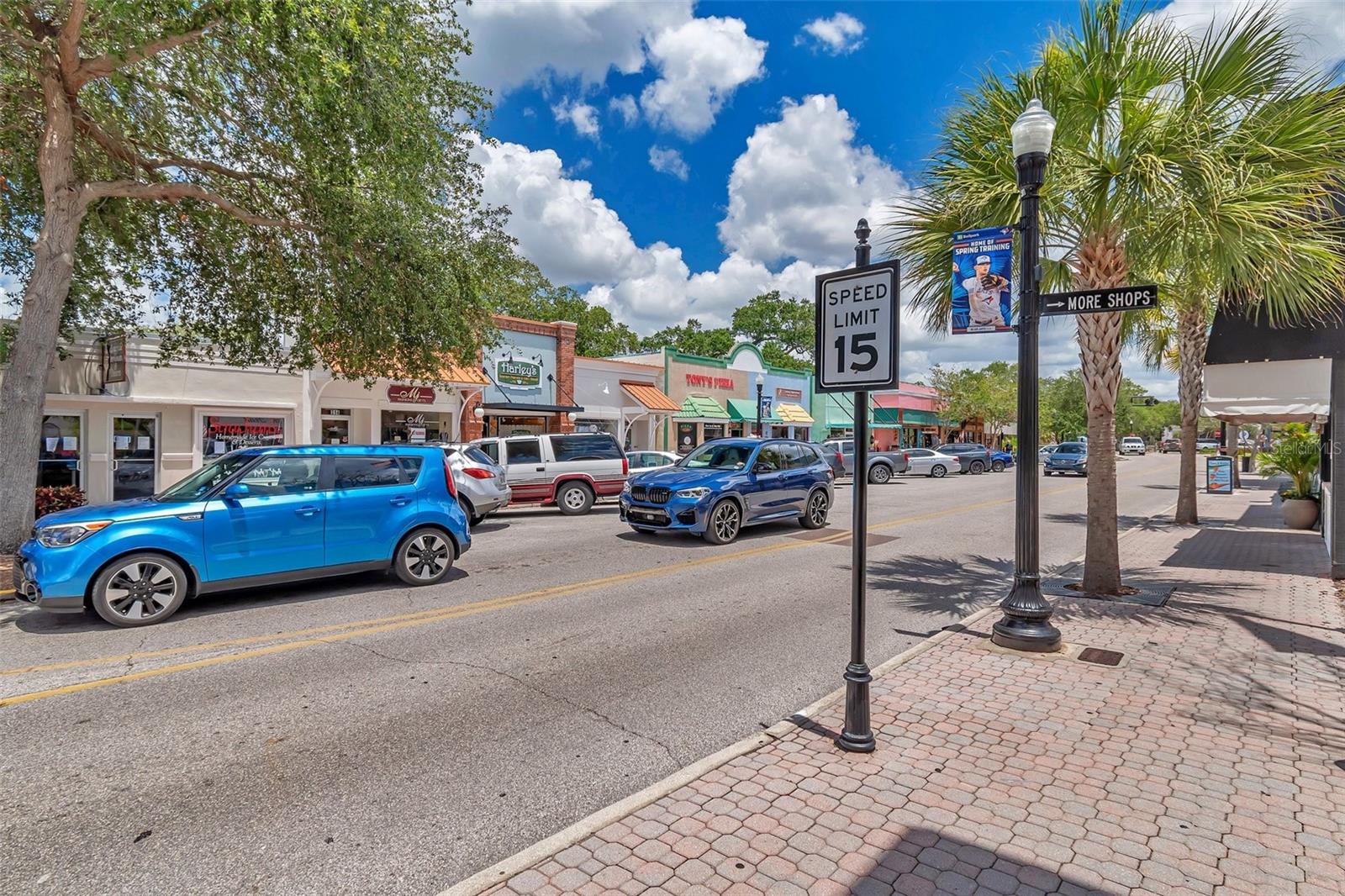 Downtown Dunedin