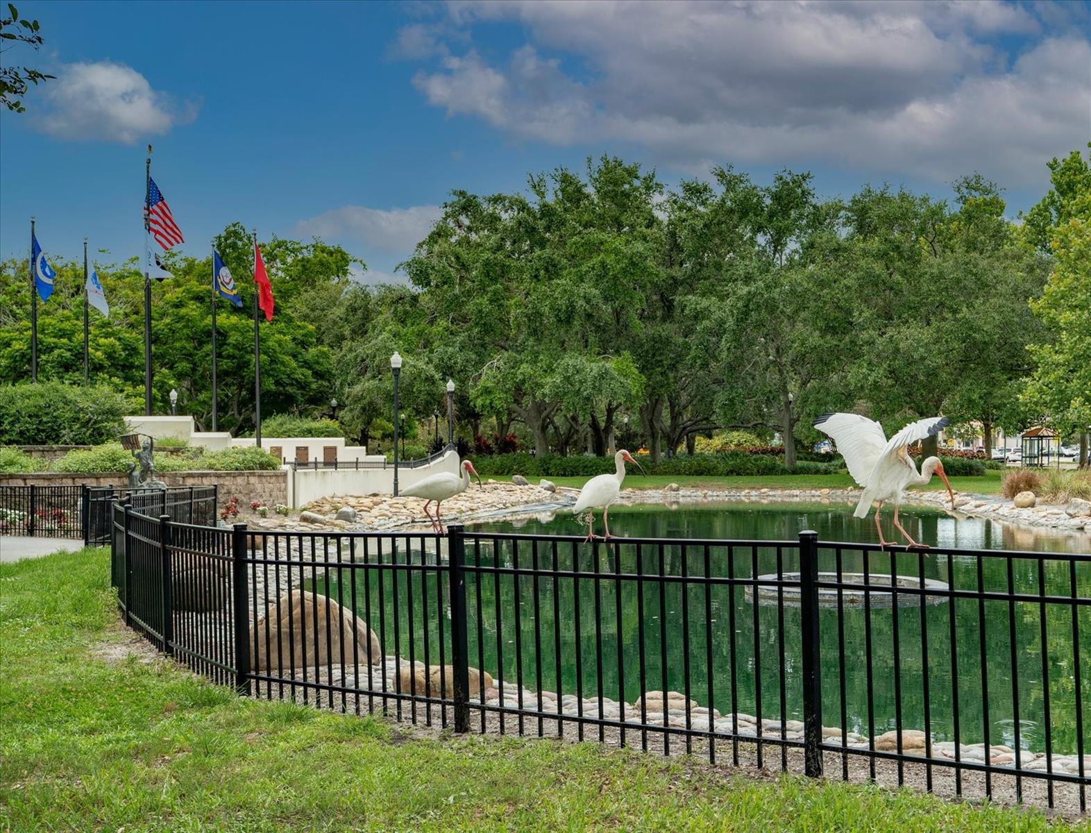 Largo Central Park