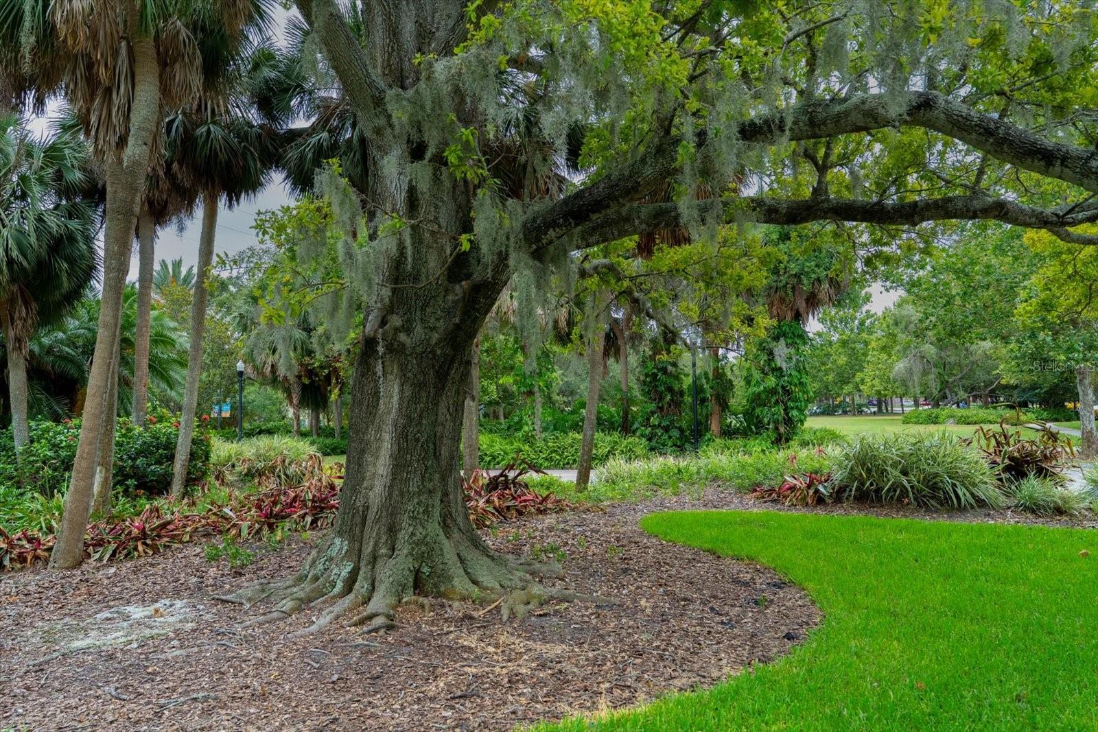 Largo Central Park
