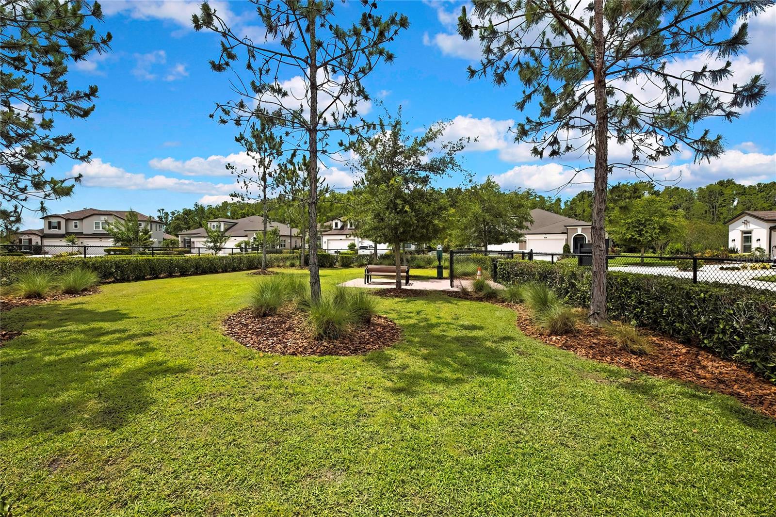 HOA Amenities