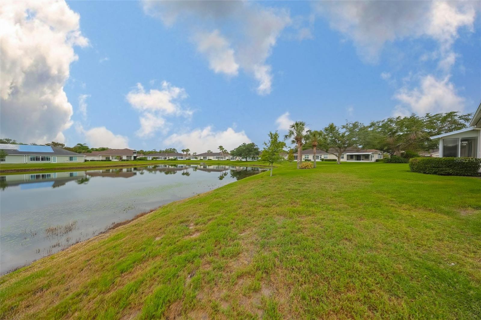 The Pond behind the home