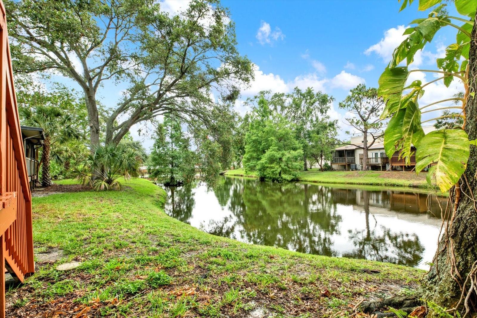 Nestled along the waters edge