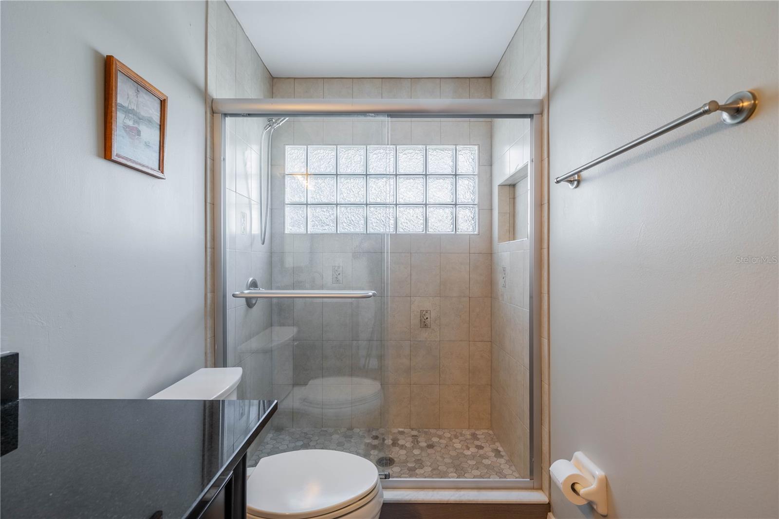 Guest bath shower