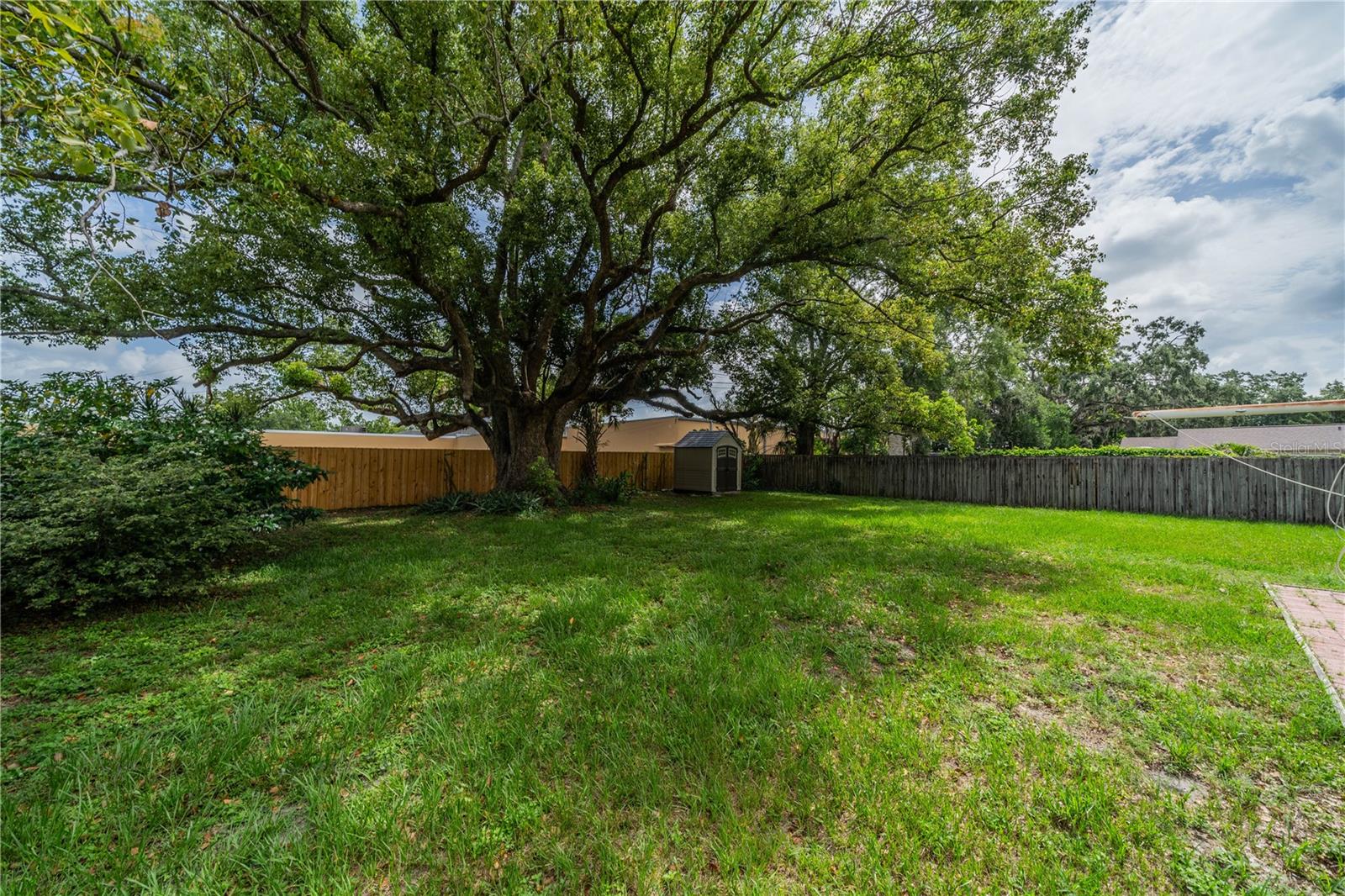 Large fenced backyard with shed