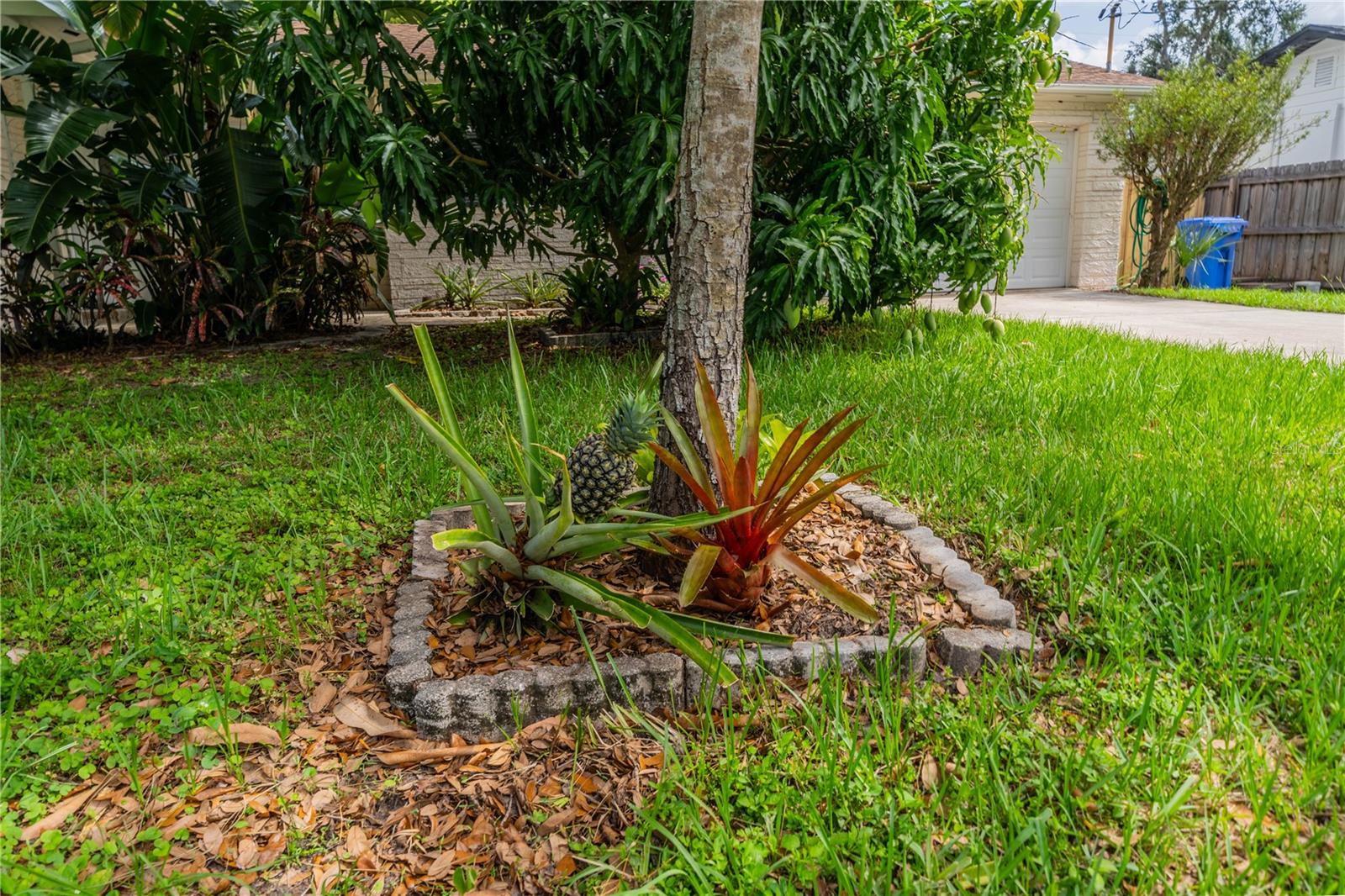 Front of home. Notice the pineapple!