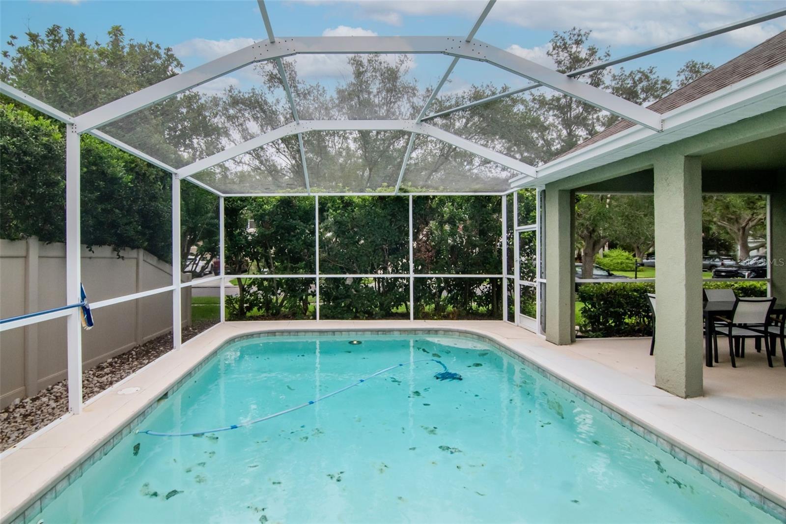 Salt Water Pool with automatic cleaner