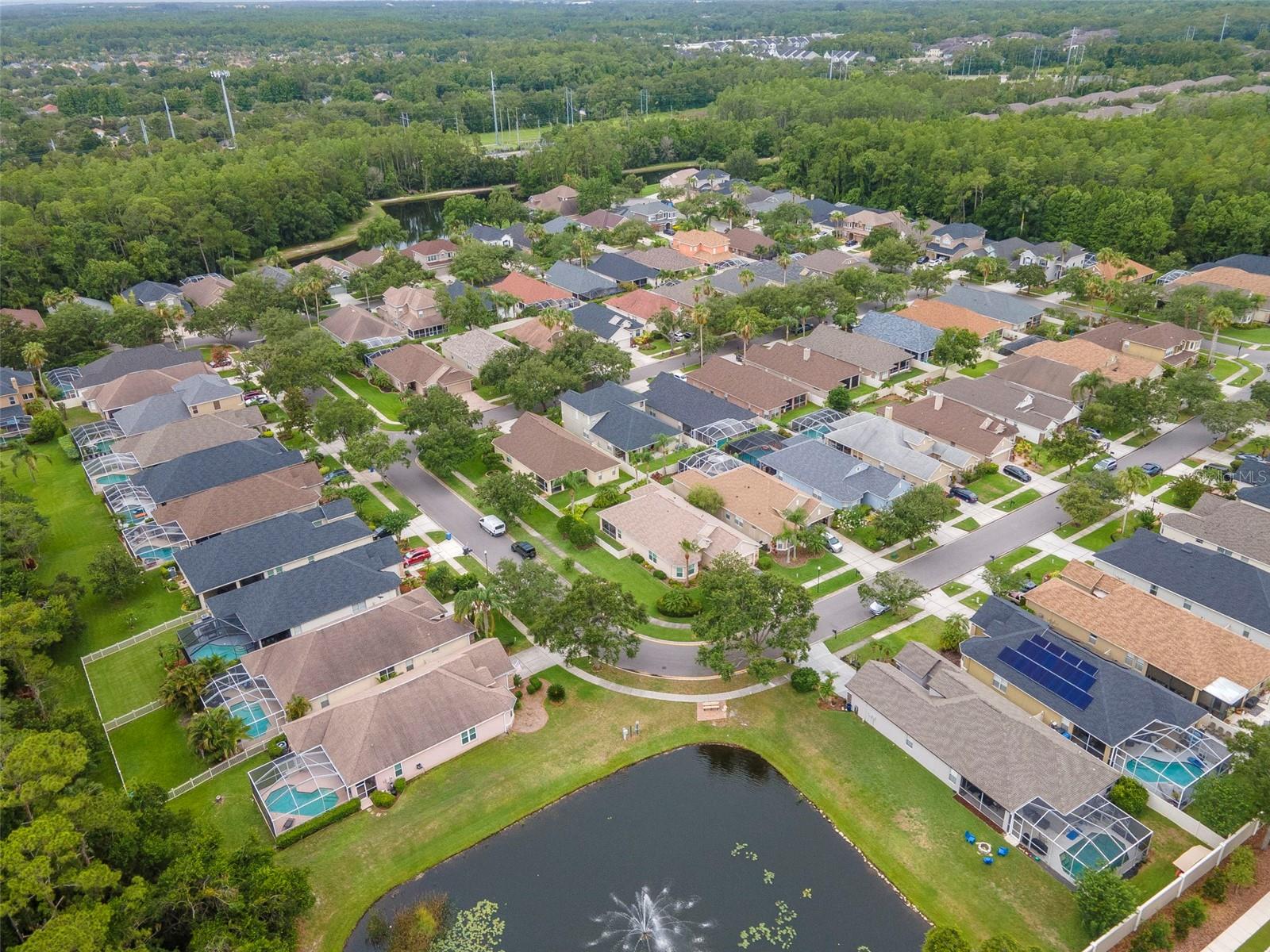 View of the neighborhood