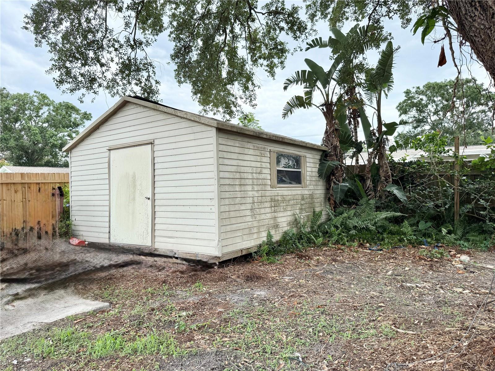 Shed
