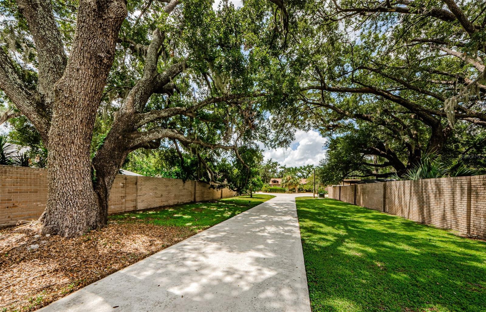 Driveway