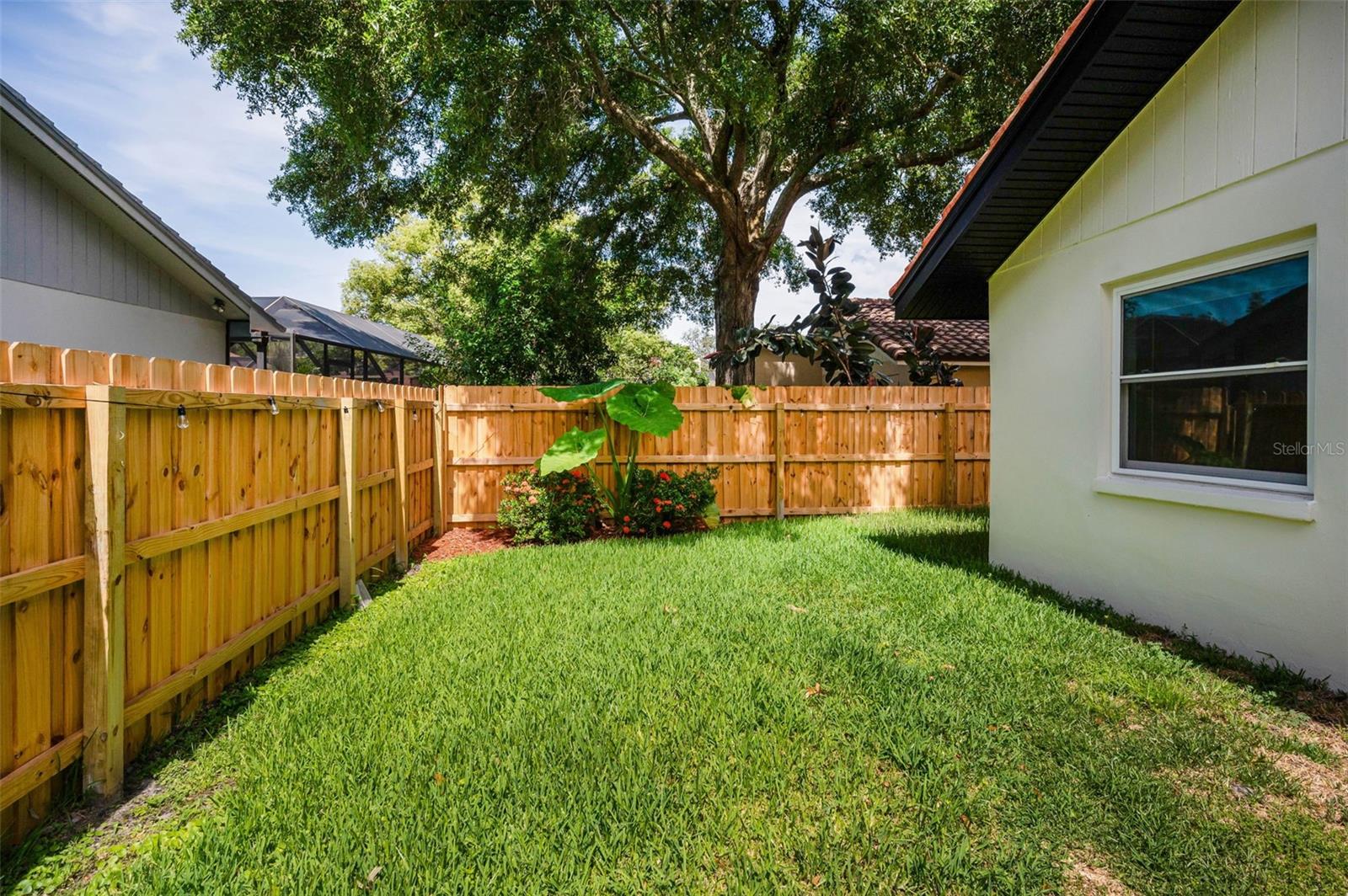 New Fenced Backyard!