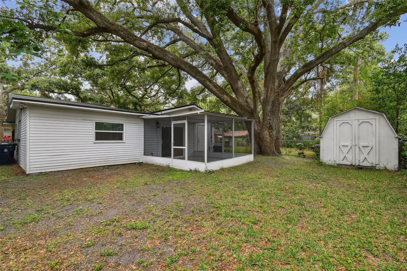 Large back Yard