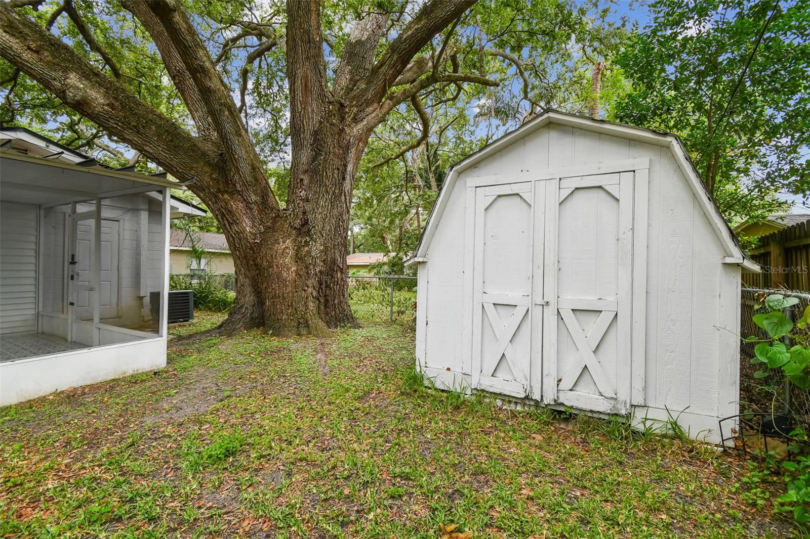 10' x 8' Shed