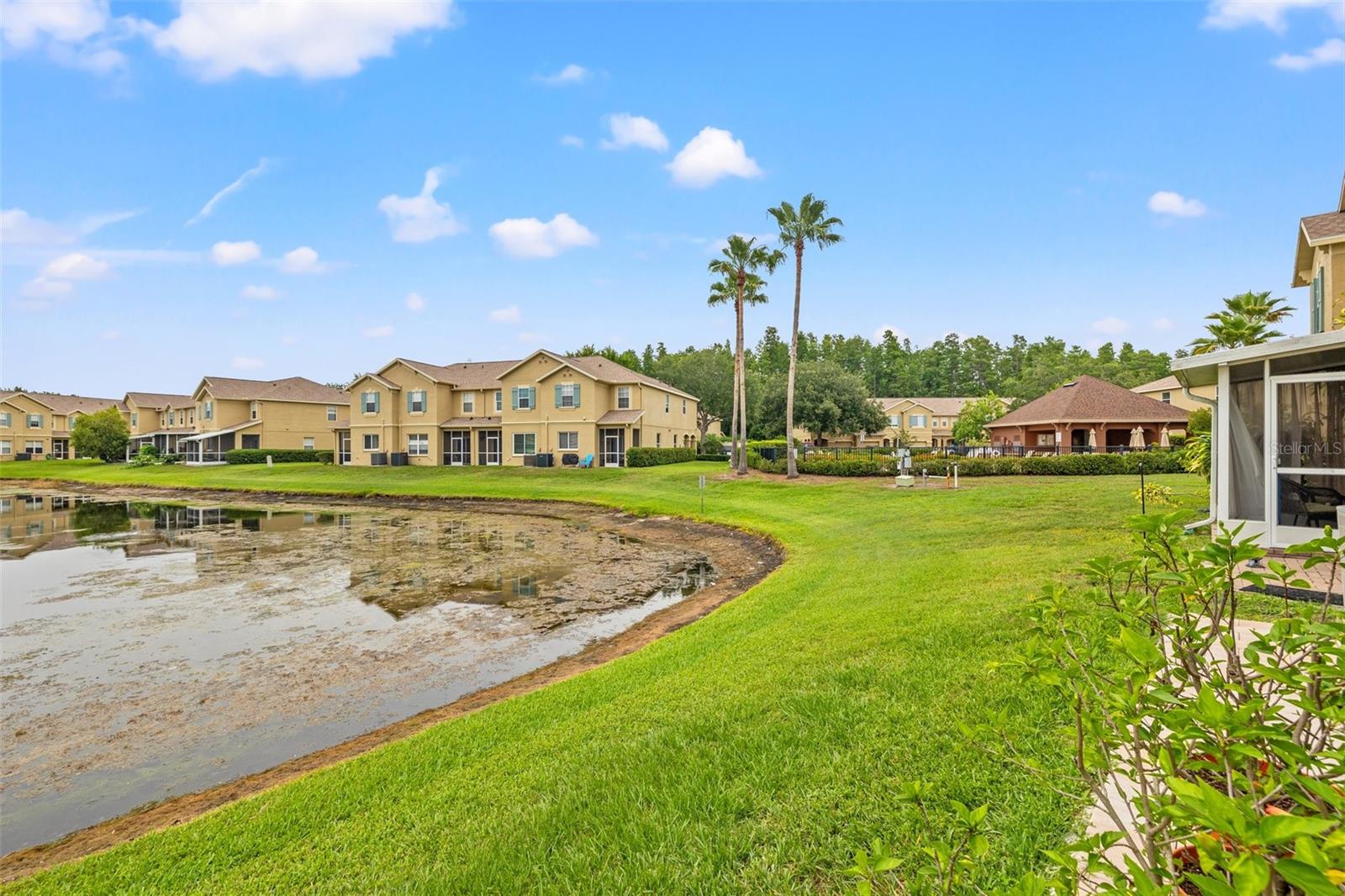 Pond views