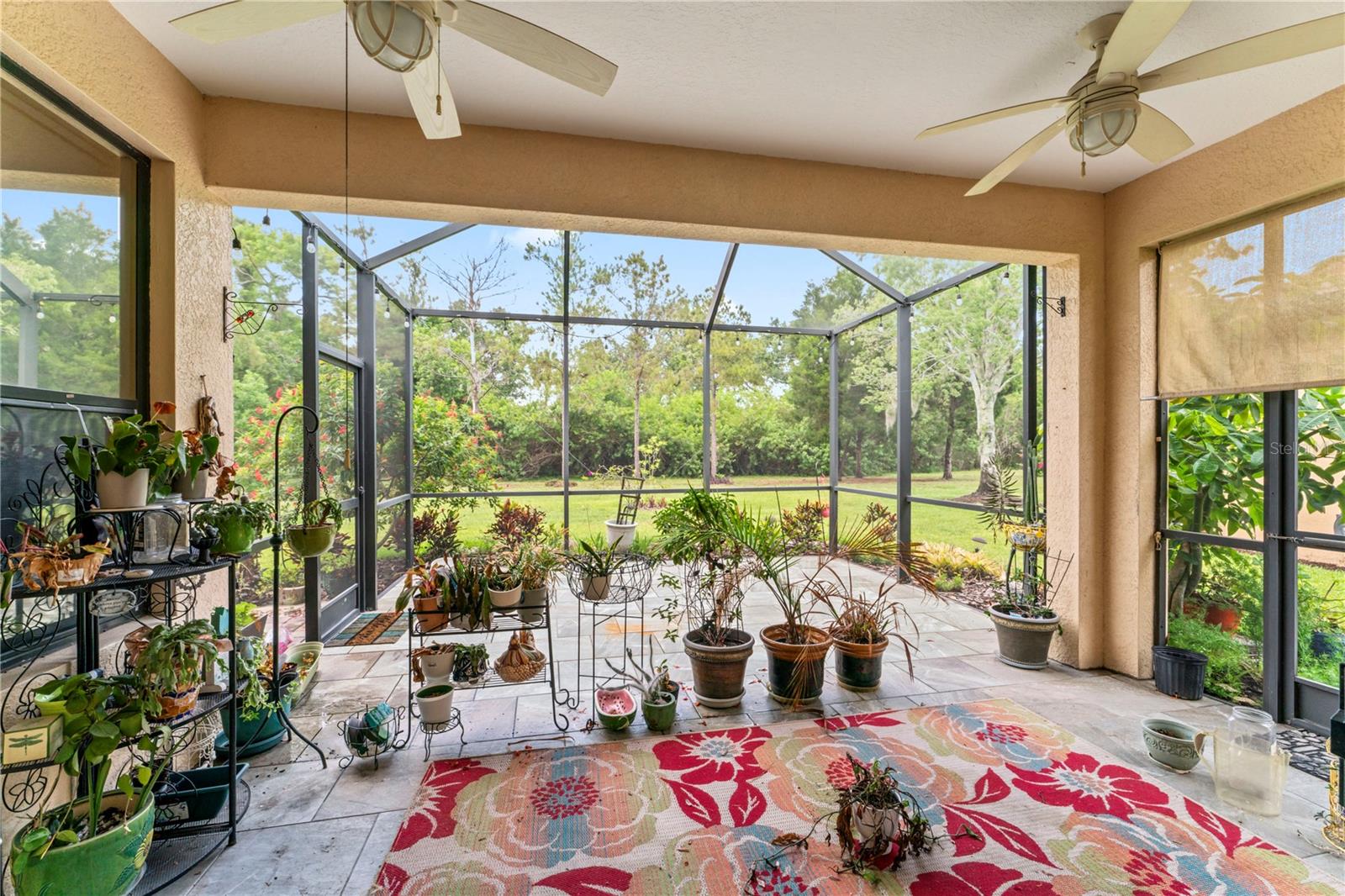 rear patio