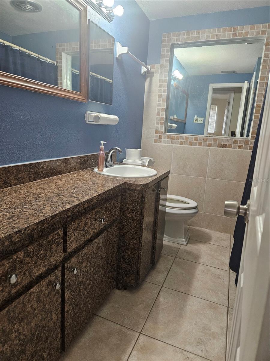 Guest/Hall Bath