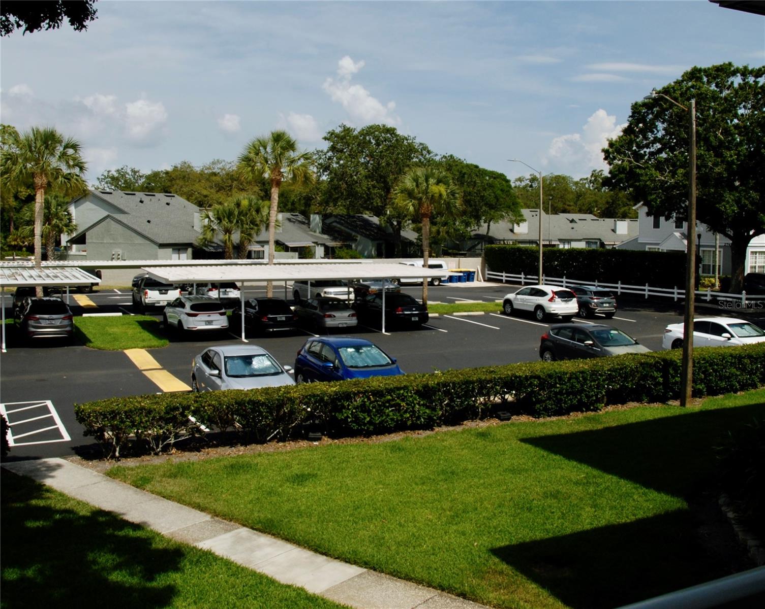 Carport, view from Front Door