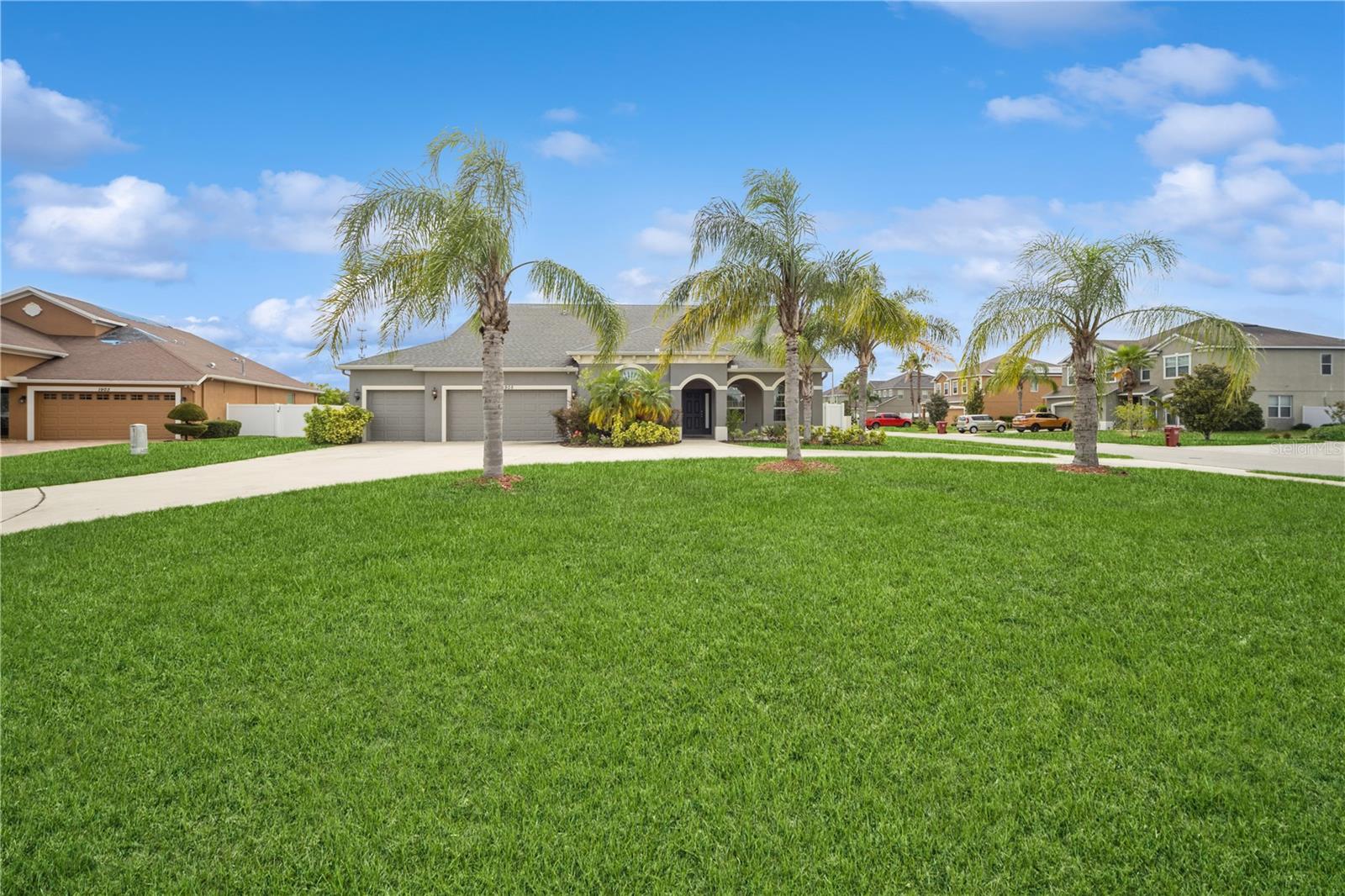 Wide front view showcasing mature palms and lawn space