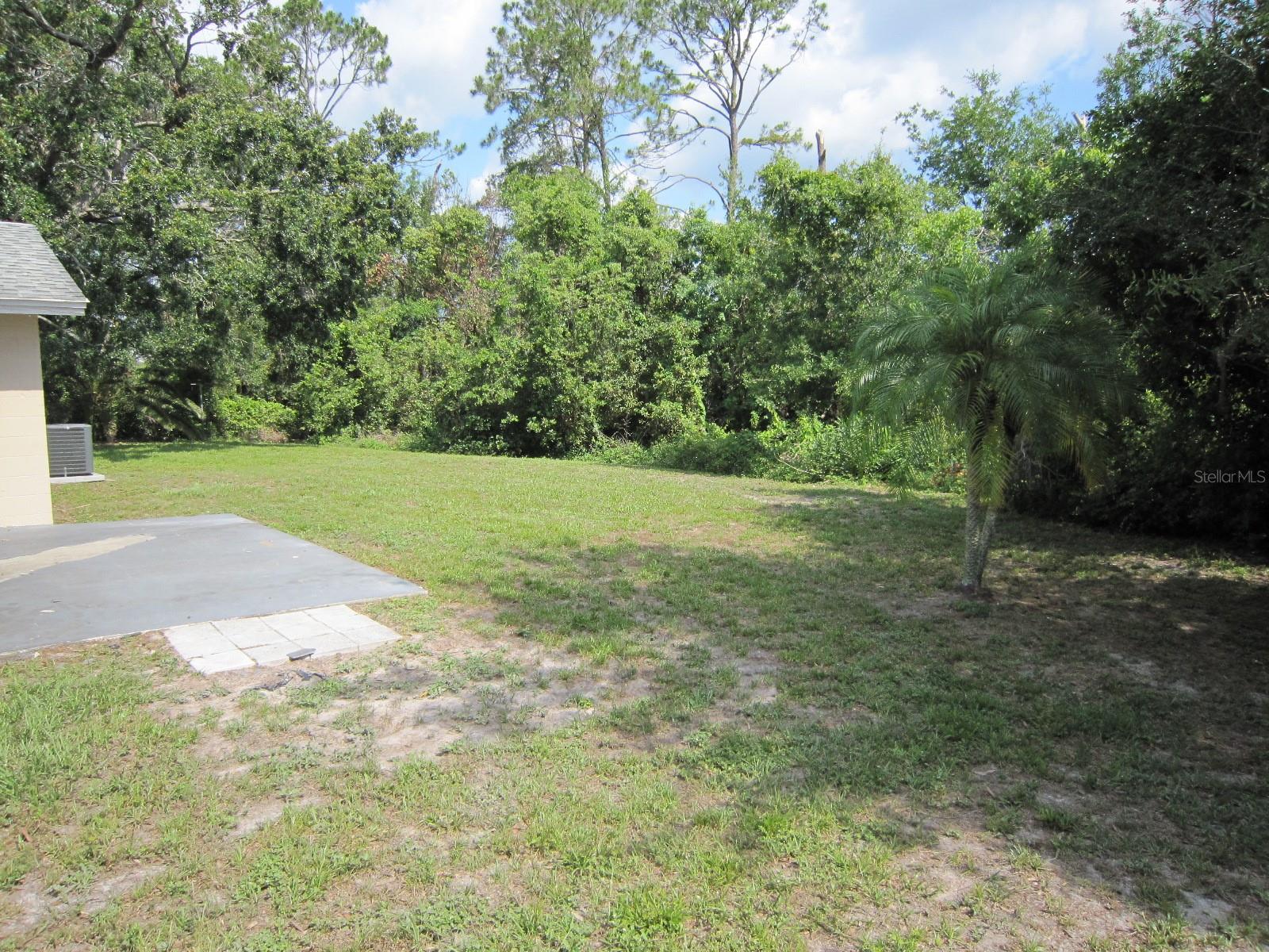 BACK YARD