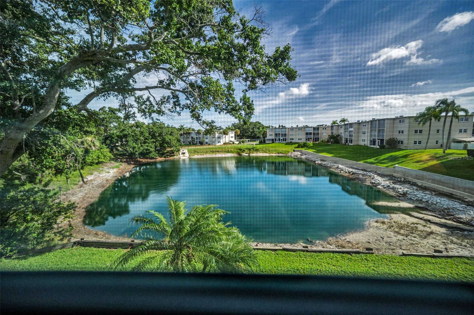 Your backyard view