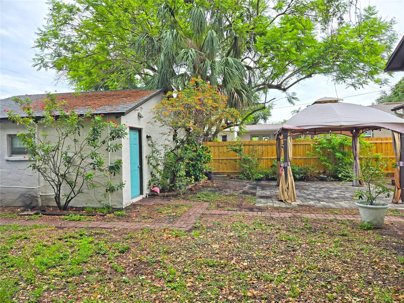 Backyard