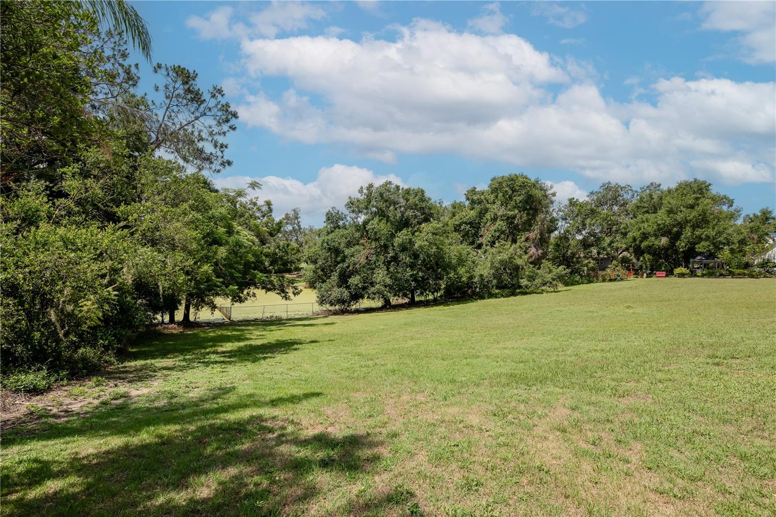 Lots of Green Space