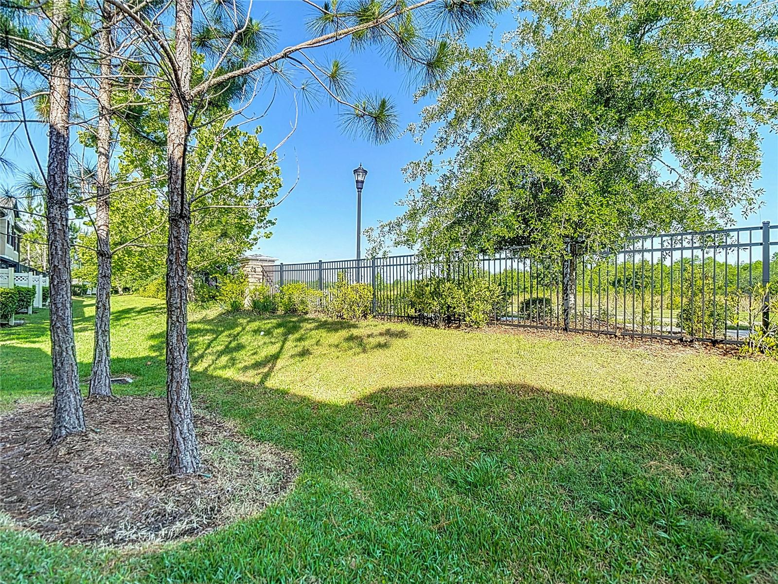 Backyard View