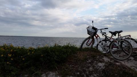 Bike down to Howard park