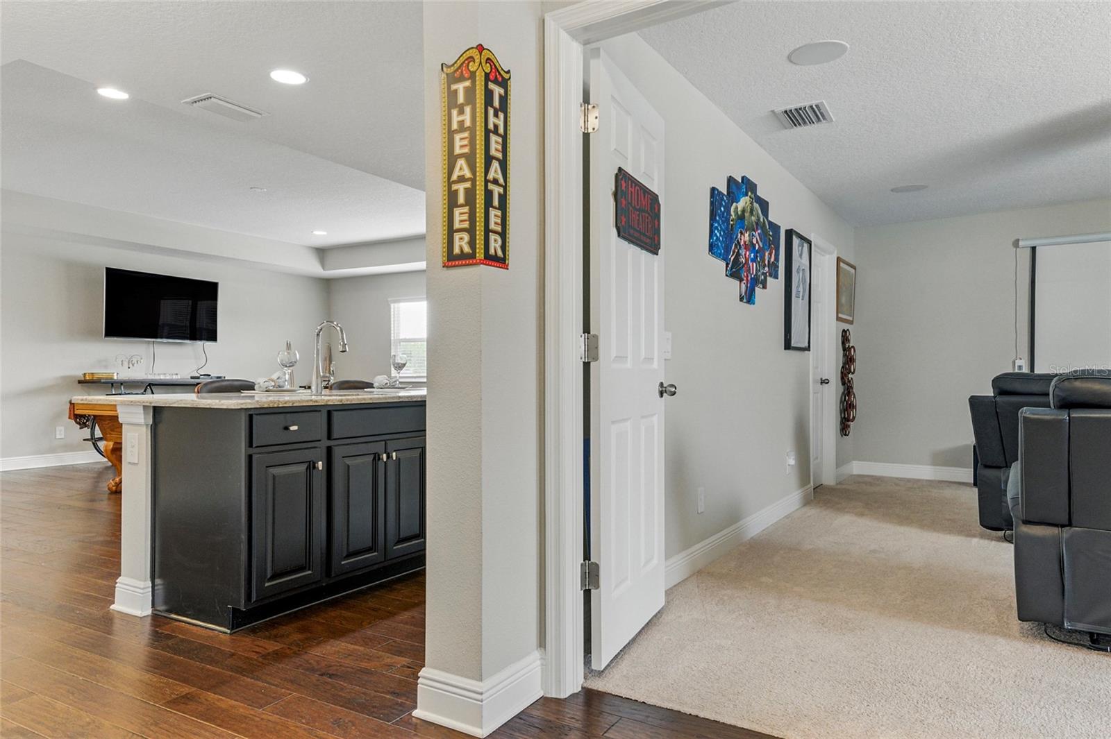 theatre/wet bar