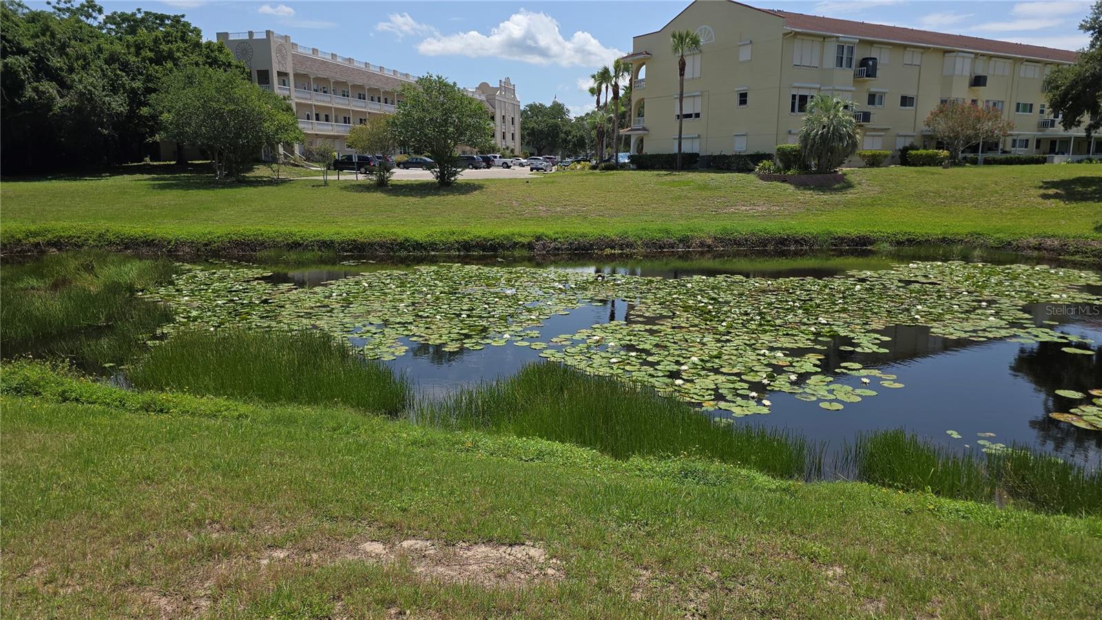 Pond area on the walking trail