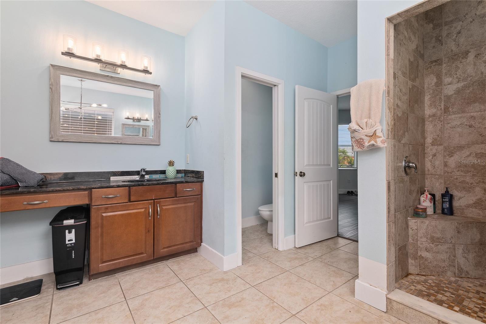 2nd View of Primary Bedroom, Shower Stall ,Walk in Closet .
