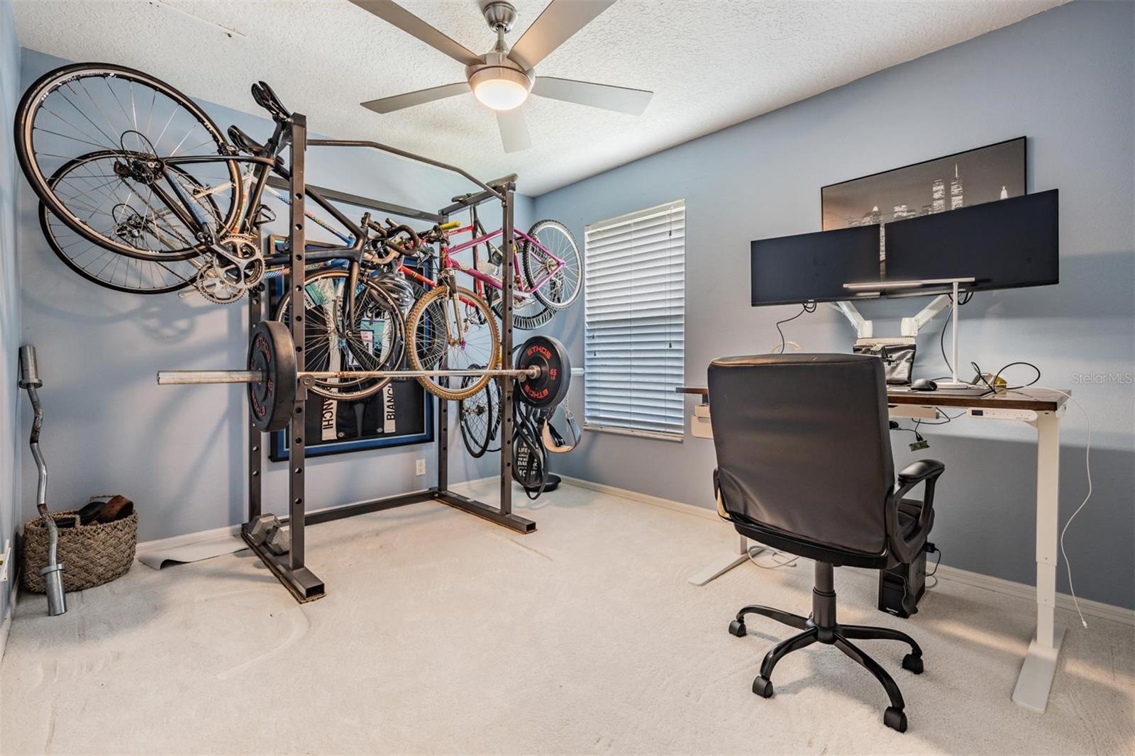 3rd Bedroom / Exercise / Work space