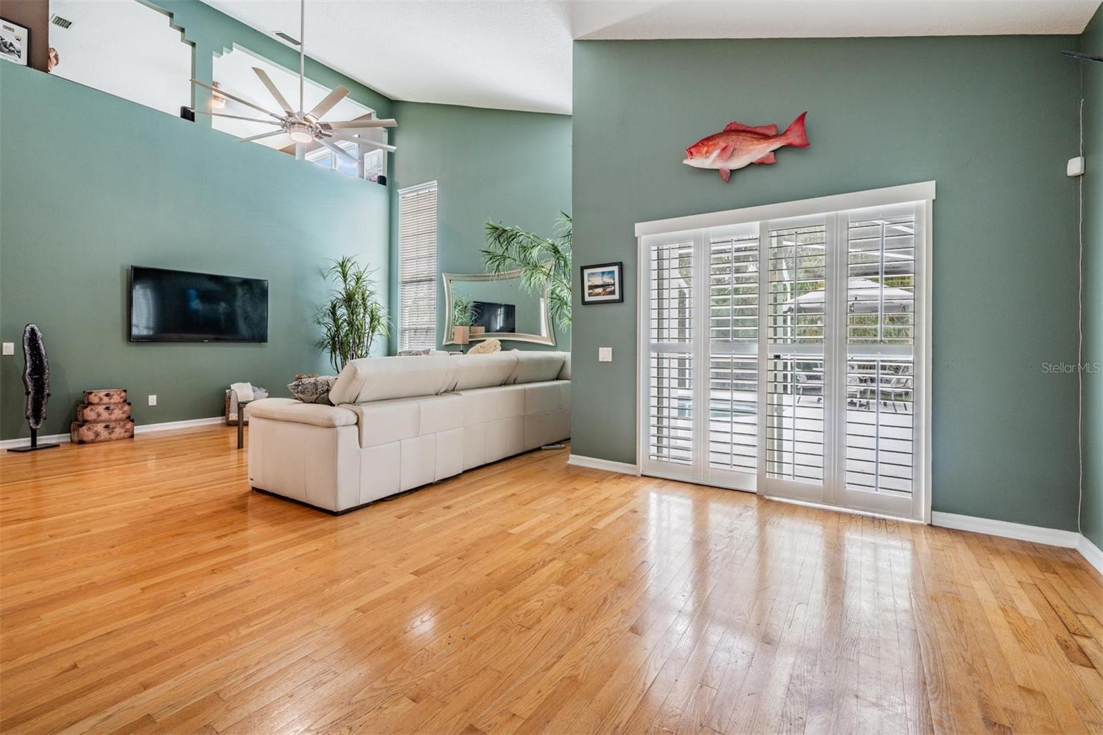 Open Living / Dining