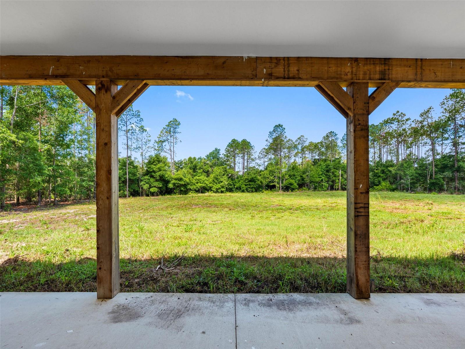 View from the back patio
