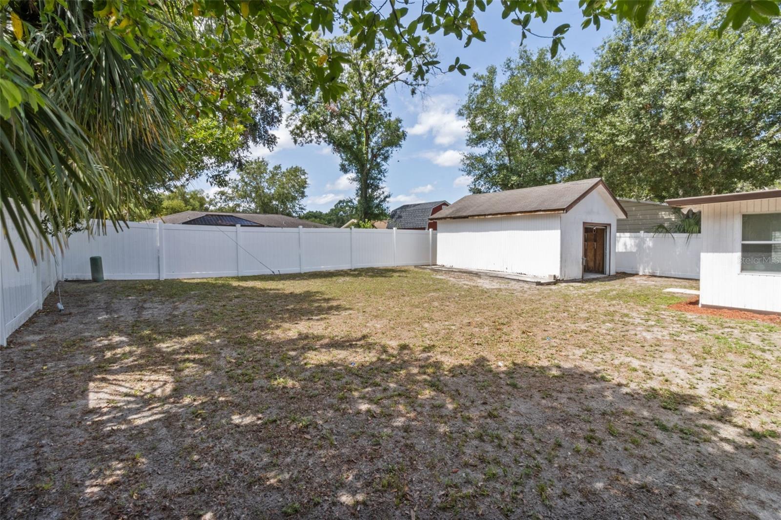 Large Backyard
