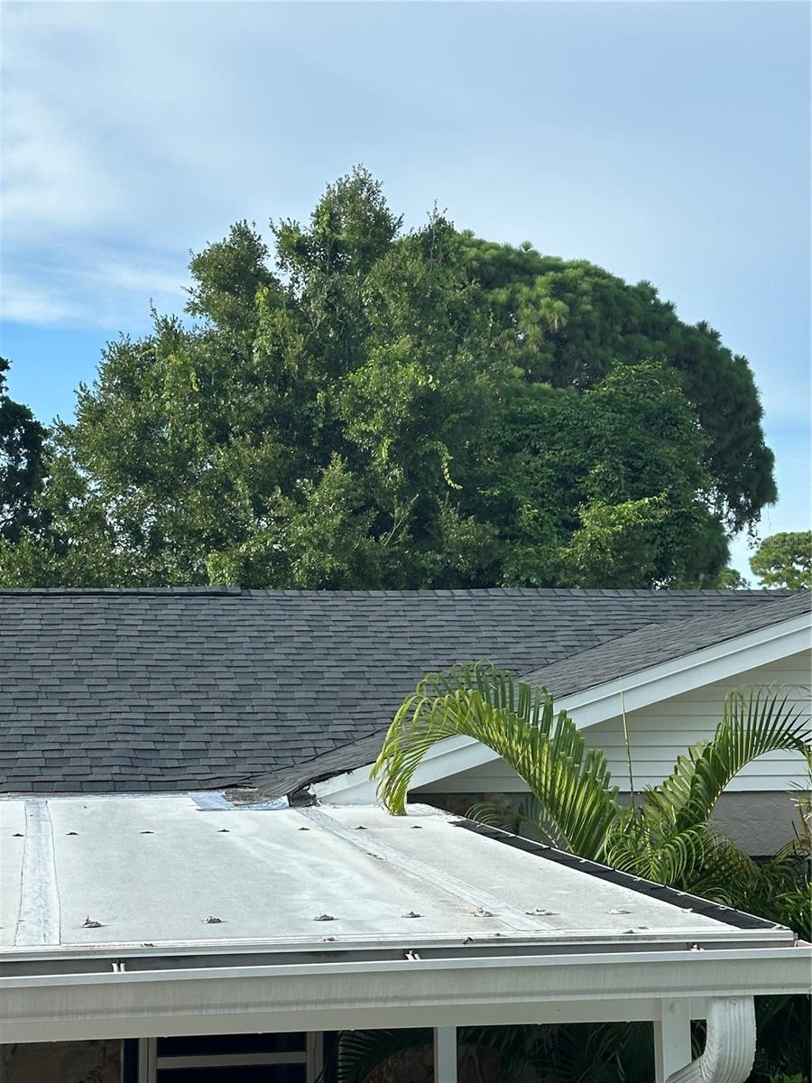 New Roof & carport view