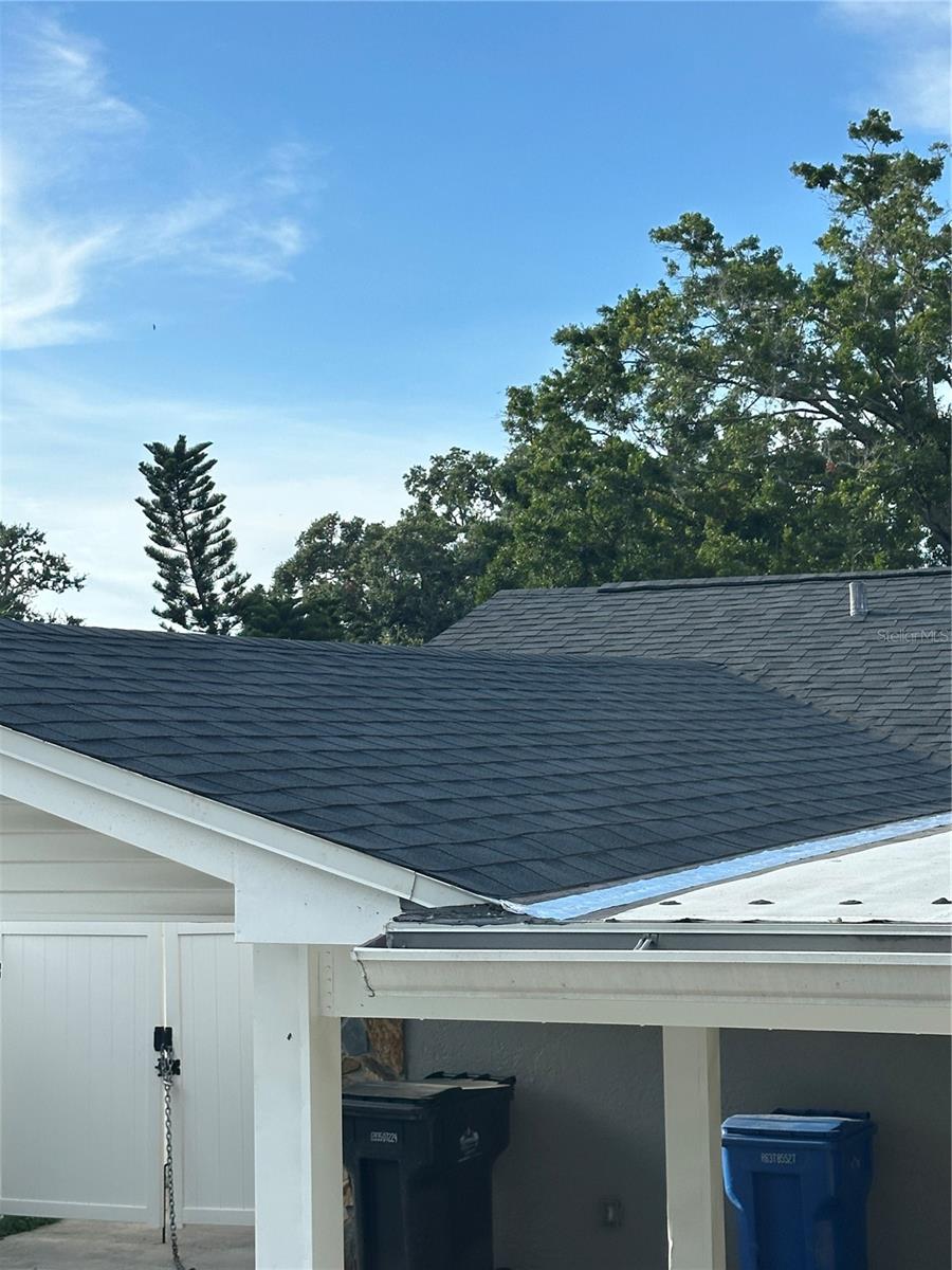 new roof-NW view