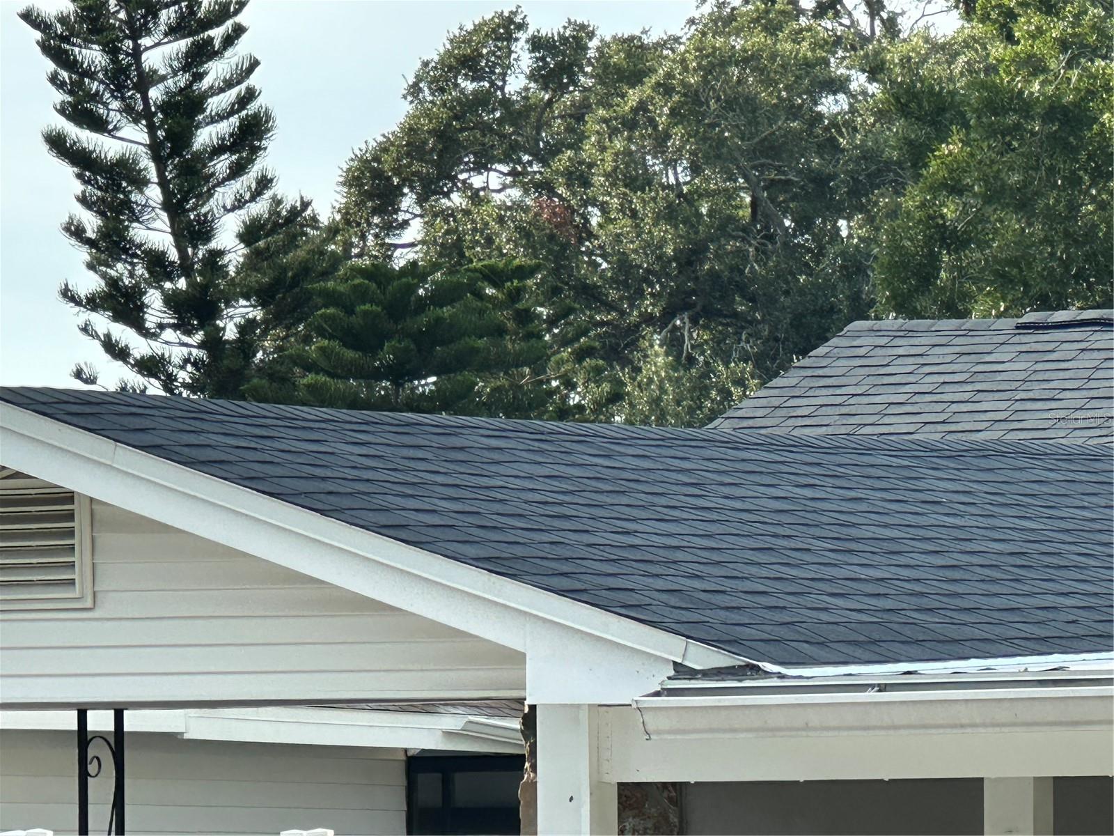 new roof-NW view
