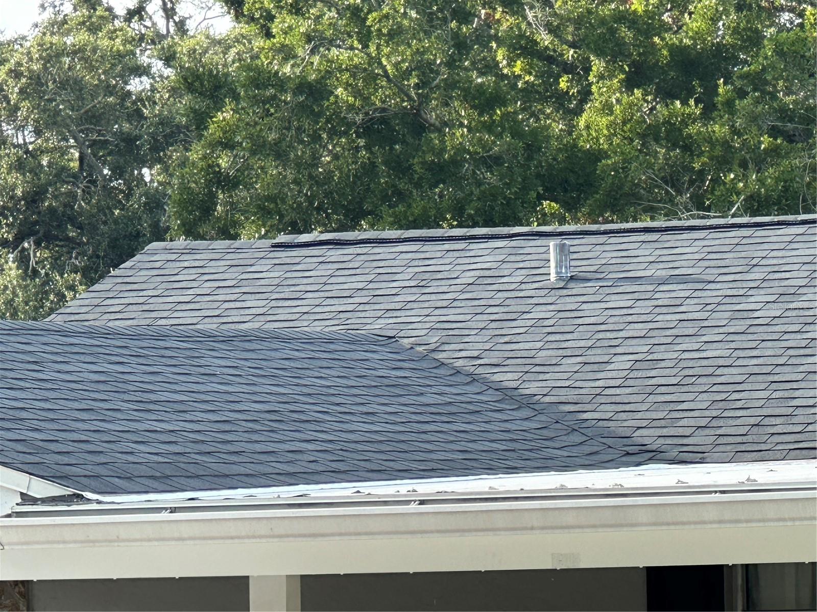 new roof-NW view