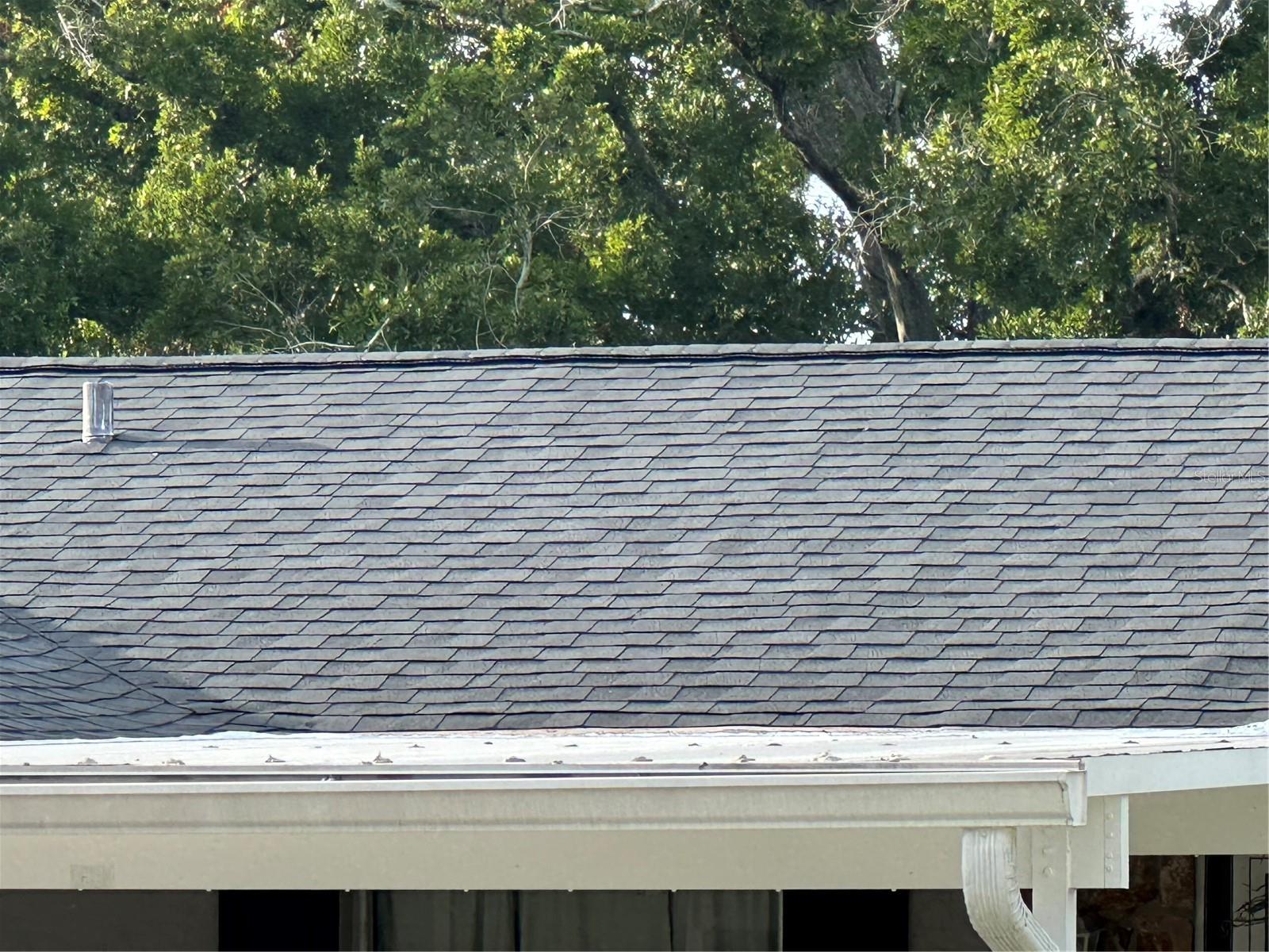 new roof-North view