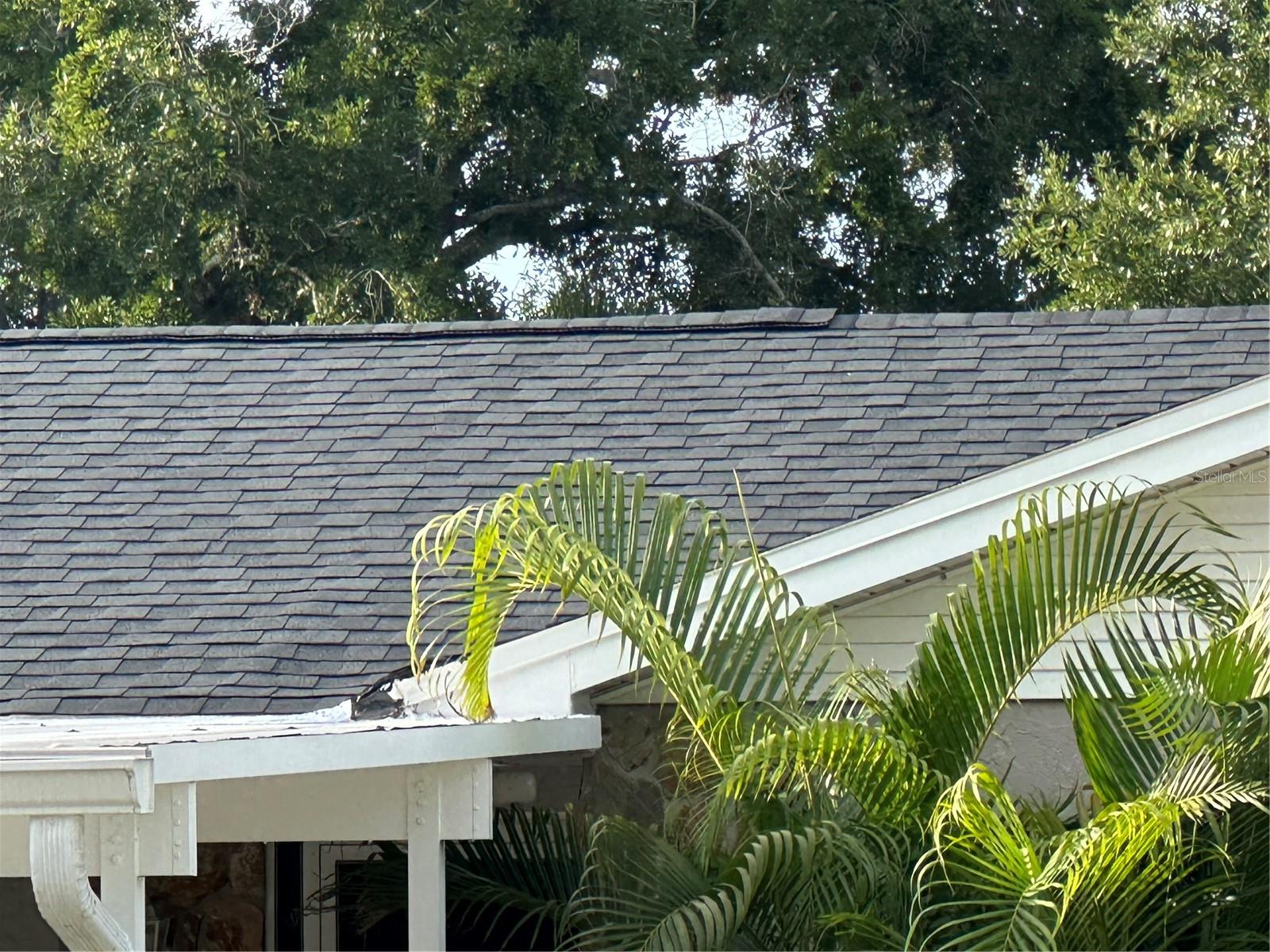 new roof-North view