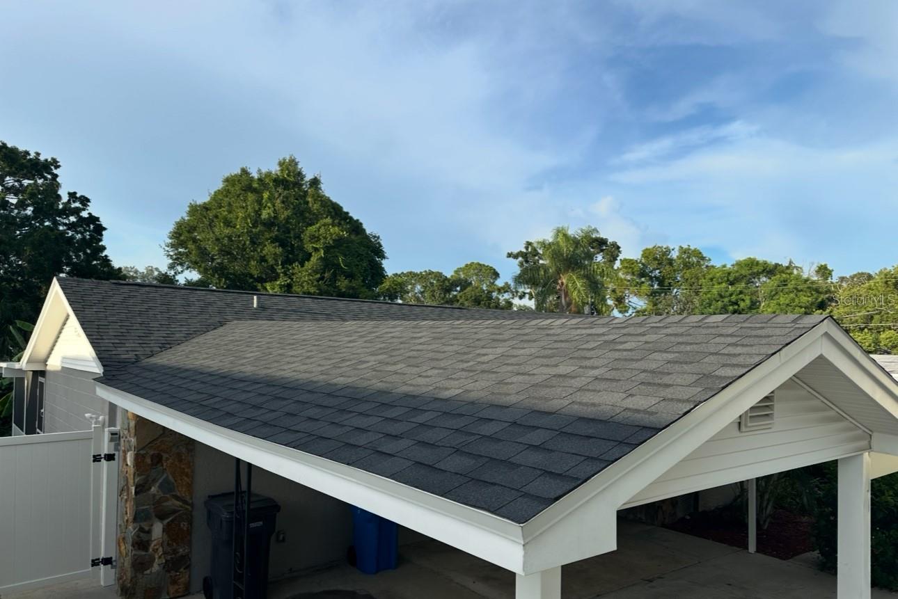 new roof-NE view