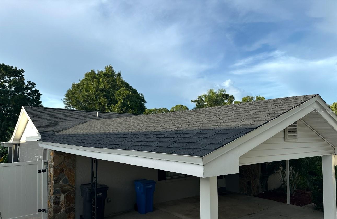 new roof-NE view